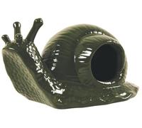 Piège anti limaces