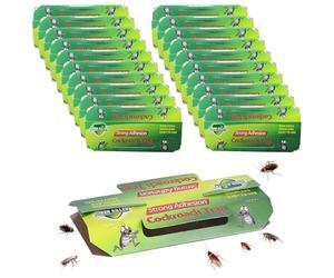 Piege Cafard,20 Pièces Pièges à Cafards,Produit Anti Cafards,Pièges Anti Cafards Blattes,Pièges À Cafards avec Appât,Anti-Cafards L'Intérieur Et La Maison