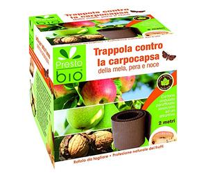 Piège carpocapse de la pomme, poire et noix