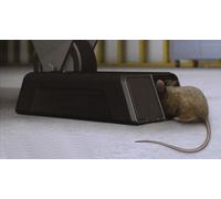 Piège Électrique Pour Souris Ou Rats