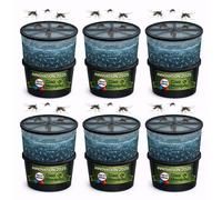 Piège larves moustique tigre 6 pièces
