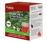 Piège Mouche des fruits rouges Drosophila Suzukii
