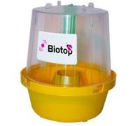 piège mouche : mouche des fruits