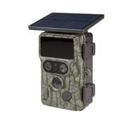 Piège photographique pie1073