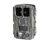 Piège photographique pie1076