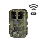 Piège photographique pie1077