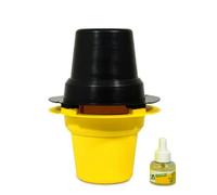 Piège Pitfall - Charançon rouge du palmier