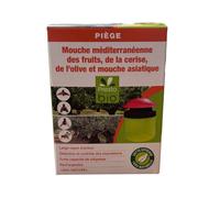 Piège pour mouche des fruits