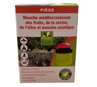 Piège pour mouche des fruits