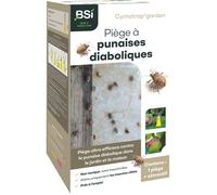 Piège punaises diaboliques - BSI - Maison et extérieur - Non toxique - Avec attractif - Cymatrap