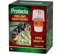 Protecta – Piège à frelons asiatiques sélectif – Capture uniquement, réutilisable, sans insecticide