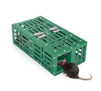 Piege Souris Humain - Cage Attrape-Souris Vivant Multi-Prises pour Intérieur et Extérieur - Piège Rats en Métal Vert Réutilisable - sans Cruauté et Sûr pour Enfants et Animaux