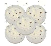 Pièges à Fourmis multifonctionnels pour l'intérieur et l'extérieur, 5 pièces