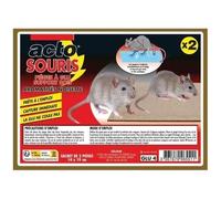 Pièges à glu - ACTO - Rats et souris - Support bois - Étui de 2