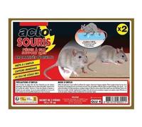 ACTO | PIÈGES À GLU Pour capturer les souris et de nombreux nuisibles rampants (serpents, scorpions, insectes rampants, araignées…). | GLU4