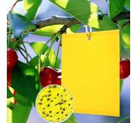 Pièges à Insectes 50pcs Pièges Engluées Colle Double-Face Piège à Mouches Pucerons Jaune Attrape 15 * 20cm-Insectes de Tueur d'insecte pour Plantes d'intérieur et d'extérieur Fleurs Fruits