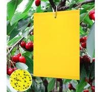 Pièges à Insectes 50pcs Pièges Engluées Colle Double-Face Piège à Mouches Pucerons Jaune Attrape 20 * 25 cm-Insectes de Tueur d'insecte pour Plantes d'intérieur et d'extérieur Fleurs Fruits