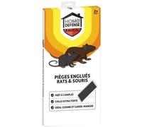 Home Defense – Pièges englués HDGLUR contre rats et souris, prêt à l'emploi, colle extra forte