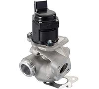 Vanne EGR PIERBURG 7.24809.76.0