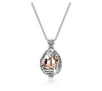 PiercingJak Collier urne funéraire en acier inoxydable avec pendentif en forme de fleur et papillon pour cendres, M
