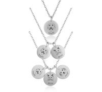 PiercingJak Unisexe Collier Personnalisé Portrait Chien Chat Argent 3 Tags
