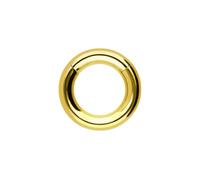 PIERCINGLINE Piercing anneau segmenté clicker en acier chirurgical - Or rose, bleu, noir, doré, argenté, Innendurchmesser: 8mm + Stabstärke: 2,5mm, acier chirurgical, Sans