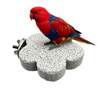 Pierre À Affûter Le Bec des Oiseaux - Meule Bec Griffe Oiseau Pierre | Conception Ergonomique En Forme De - S'adapte Parfaitement À La Morphologie De L'Oiseau | Pour Une Utilisation Quotidienne