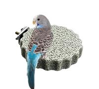 Pierre À Bec Perruche pour Ponçage Perchoir Multifonction en Roche | Taille-Griffes pour les Pattes de la Perruche Pour Griffes Conure Calopsitte Inséparable Pinson Canari Section B