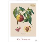 Pierre Antoine Poiteau: Alte Obstsorten 2026 - DUMONT Kunst-Kalender - Poster-Format 50 x 70 cm