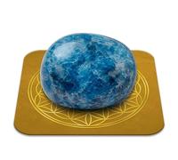 Pierre Apatite Bien-être Polie 2 à 3 cm Qualité Premium | Communication, Clarté mentale, Motivation | Fleur de Vie incluse | Guide Pratique & Méditation Offerts | Cadeau Zen Spirituel | 1 unité