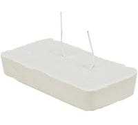 Pierre avec des coquillages