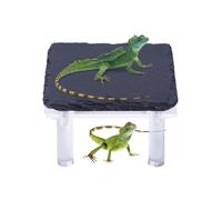 Pierre de Bain pour Reptiles | Cachette pour Dragon Barbu avec Support en Acrylique - Accessoires pour Terrarium, Décors d'Habitat pour Gecko, Caméléon, Lézard et Tortue Lors du Bain de Soleil
