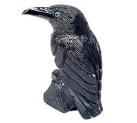 Pierre de corbeau en onyx noir - Pierre minérale fossile de guérison - Pierre fossiles