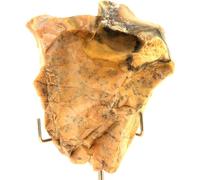 Pierre de feu dendrite 515,0 carats