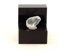 PIERRE DE LUNE - Pierre Naturelle en Provenance de Tanzanie, Kilosa District Pierre de Lune Authentique, Brillante et Mystique 1.97 ct - Certificat d'Authenticité Inclus 12 x 7 x 3 mm G