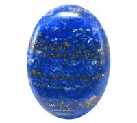 Pierre de palmier en cristal de Lapis Lazuli pour la guérison naturelle