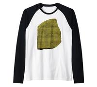 Pierre de Rosette Hiéroglyphe Egyptien Archéologie Egyptologie Manche Raglan