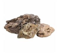 Pierre décorative pour aquarium - vidaXL - Pierre du dragon - 10-40 cm - Gris - Naturelle et sûre