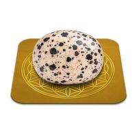 Pierre Jaspe Dalmatien Polie 2-3 cm Qualité Premium | Ancrage, Optimisme, Protection | Fleur de Vie incluse | Guide Pratique & Méditation Offerts | Cadeau Zen Bien-être | 1 unité
