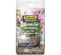Pierre ponce - ALGOFLASH NATURASOL - Granuplant orchidées - 5 L