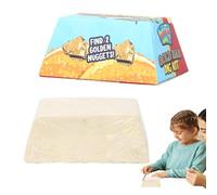 Pierre précieuse - Roche | Archéologie Kit de tombe géologie | Projet scientifique - Kit de minage Edelsetein - Jouet éducatif - Kit de collection de pierres précieuses interactives