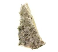 Pierre - Quartz, Chlorite - Vallon de la Valette, Savoie, France - 565.0 ct - ABIJOUX - Vert