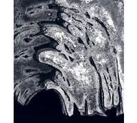 Pierre Sabatier Anne Bony (Auteur), Axelle Corty (Auteur), Frédéric Migayrou (Auteur)