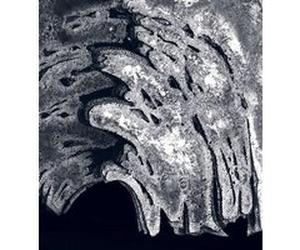 Pierre Sabatier Anne Bony (Auteur), Axelle Corty (Auteur), Frédéric Migayrou (Auteur)