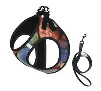 Pierres colorées imprimées,Harnais pour Animaux de Compagnie, Harnais réfléchissant réglable pour Chien,L
