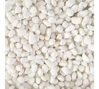 Pierres décoratives blanches/colorées convenant aux succulentes, bonsaïs, orchidées, plantes tubéreuses/de désert, revêtement de surface de plantes en pot, pavage et remplissage de cour, massifs de fl