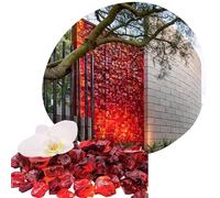 Pierres décoratives en verre recyclé - Rouge - 2 kg - Grandes pépites de verre de 3 à 5 cm - Pierres décoratives pour vases et pots de fleurs - Pierres pour terrarium et aquarium - Pierre de jardin