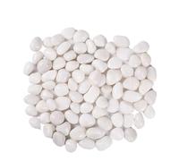 Pierres décoratives Galets blancs de 2 à 3cm, 200/400/600/800g, aménagement paysager et pavage routes, pierres fleurs pluie hautement polies, piscine pour Jardin(800g)