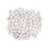 Pierres décoratives Galets blancs de 2 à 3cm, 200/400/600/800g, aménagement paysager et pavage routes, pierres fleurs pluie hautement polies, piscine pour Jardin(600g)
