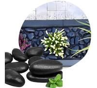 Pierres décoratives polies noires, 5 à 8 cm, 15 kg, pour étang et gabions, grandes pierres noires pour pots de fleurs, vases, terrarium et aquarium, belle décoration de jardin naturelle